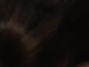 XeniaDream1