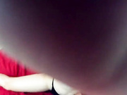 Viola_