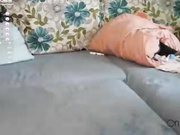 barsikmeow