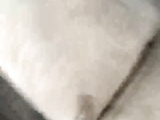 Lunkevich