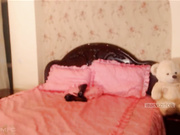 BarbieDream