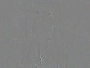 Cute girl Allysweet show her naked body