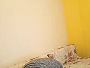 StefanyBrain