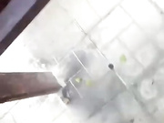 Lusi19