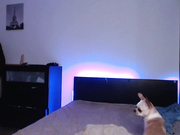 Sex_Revolution кончил на грудь