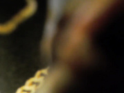 stacimarierose 11-01-2021