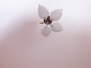 GiannaGoldX (неудачный анал)