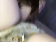 Chipkaa