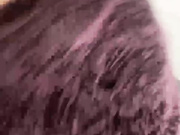 Lusi19