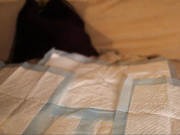 SexySabotage, AnyaSabotage, ALibbi, TvoiSosedci, anna_sabotage524