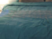 DorisCream play pussy and doggy anal plug