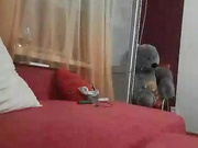 alisiLiyaSw