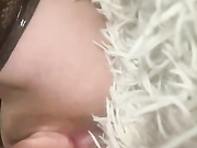 Lisafox45