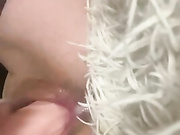 Lisafox45