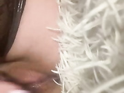 Lisafox45