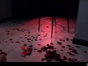 cinepassion