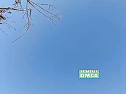 JoyLolka