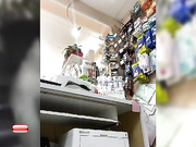 Cute-Anya апскирт на работе-29