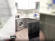 -Vredina- сиськи