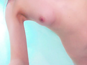 TeaRose12 - tea_rose-8