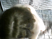 Curlyhair65