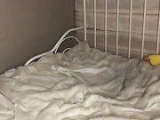 TkoksT