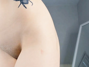stella_711