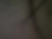 mmansinspb