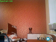 TopTyan19