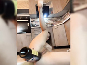 MistyPhoenix шоу с бутылочкой-2