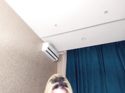 kira bongacams