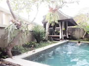 coy_amina