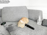 honey_sunshine