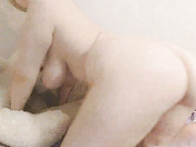sweet-cat
