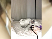 ladybug4 с дилдо