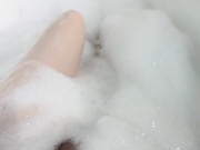Lisicaa