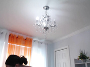 Yavika