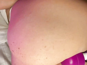 FoxyPay1