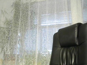 daniella854