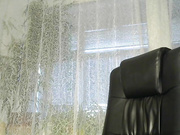 daniella854