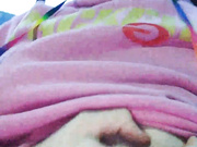 sweet-cat