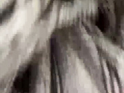 likachkaa
