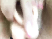 Fialka29