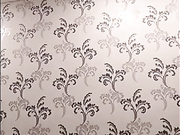 Катя (Катяра, Ека Ека)