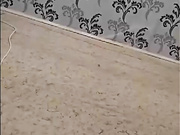 Катя (Катяра, Ека Ека)