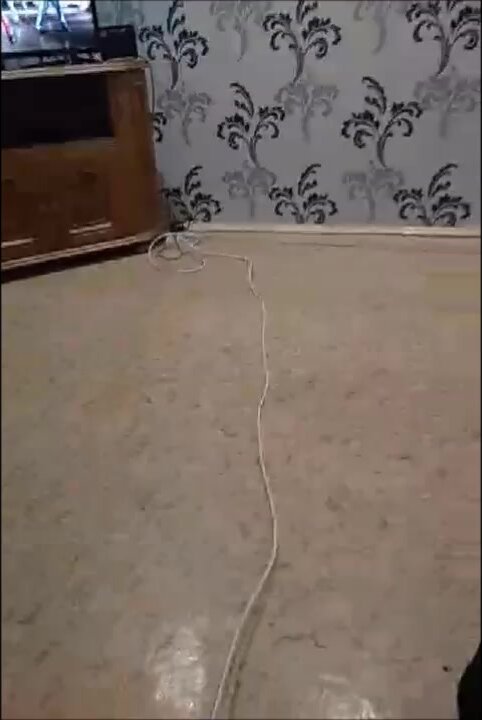 Катя (Катяра, Ека Ека)