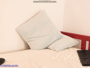 StellaCardo