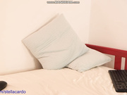 StellaCardo
