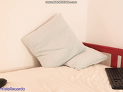 StellaCardo