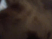 HoneyBii